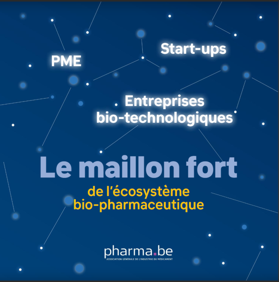 Le-maillon-fort