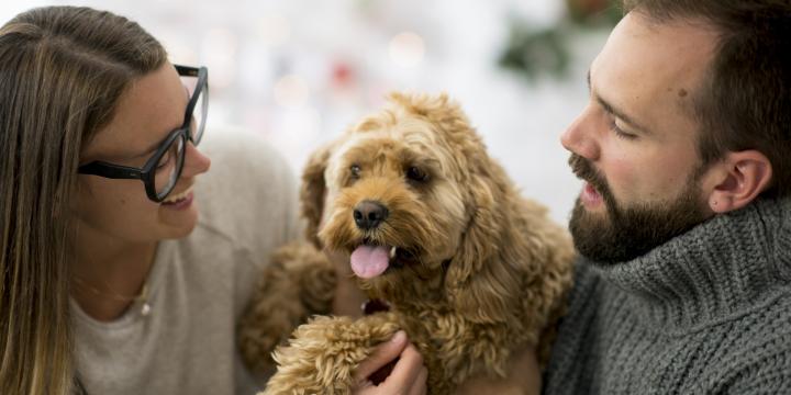 Family with dog