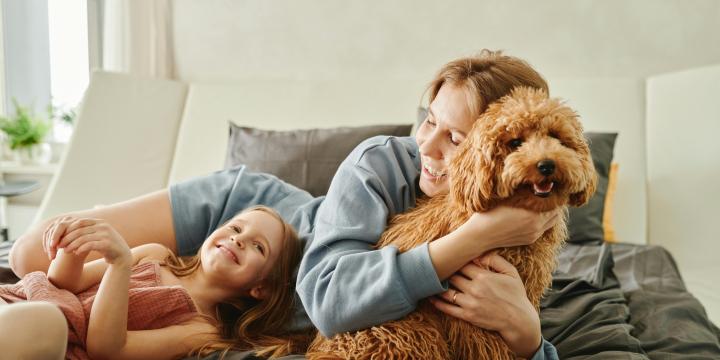 Family Dog