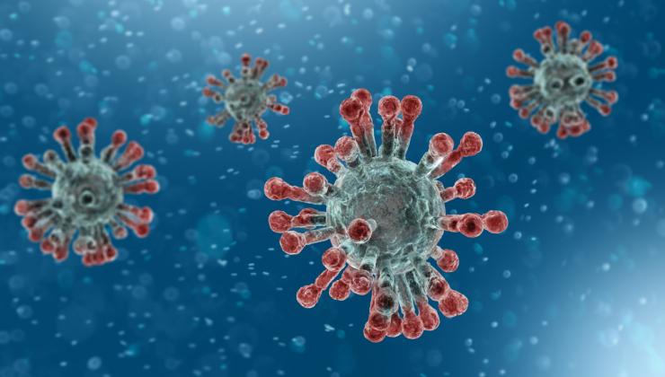 Coronavirus-2