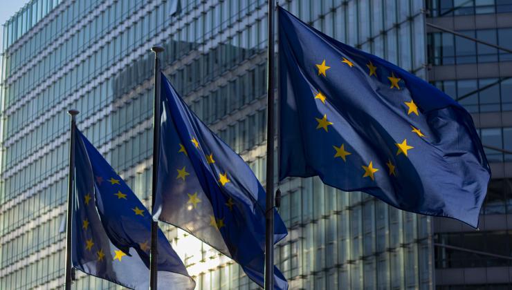 EU vlaggen
