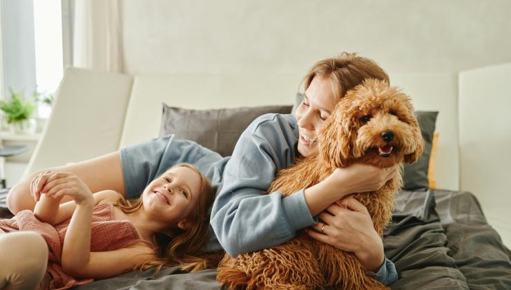 Family Dog