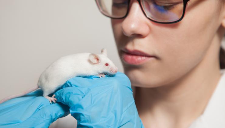 animal-testing